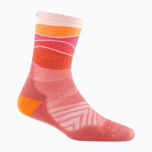 Socken Damen Darn Tough Horizon Micro Crew Cushion canyon