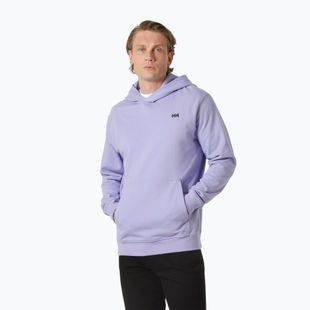 Hoodie Sweatshirt Herren Helly Hansen Core Graphic Sweat Hoodie bright lavender