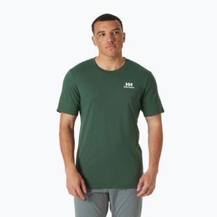 Shirt Herren Helly Hansen Nord Graphic jungle green