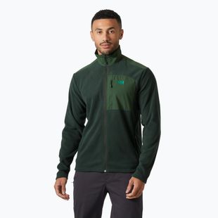 Helly Hansen Herren Daybreaker Block Sweatshirt dunkel Dschungel