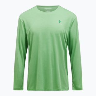 Herren Peak Performance Delta LS Pfefferminz Longsleeve