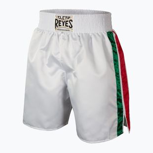 Boxershorts Herren Cleto Reyes Satin Boxing white/green/red