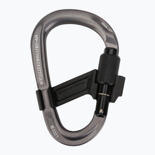 Kletterkarabiner Mammut Smart HMS 2.0 Screwgate grey