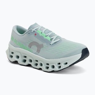 Herren-Laufschuhe On Cloudmonster 3 brook/flurry