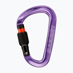 Karabiner Mammut Classic HMS Screwgate screw gate/alpine calamint