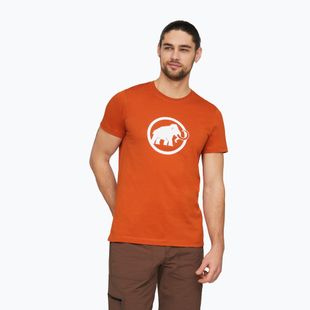 Herren-Shirt Mammut Core T-Shirt Men Classic autumn larice