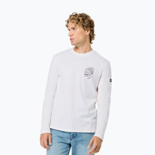 Longsleeve Herren super.natural Frosty Bio white/blueberry