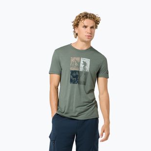 Herren-Shirt Super.Natural Go Hiking Tee eucalyptus/various