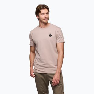 Herren Black Diamond Equipmnt For Alpinist t-shirt blass lila