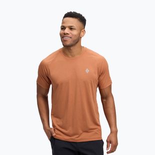 Herren-Trekking-T-Shirt Black Diamond Lightwire Tech Moab Brown