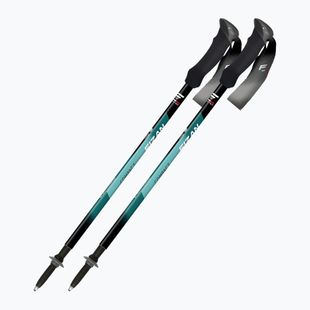 Trekkingstöcke  Fizan Compact water green