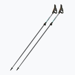 Nordic-Walking-Stöcke Fizan Carbon Pro Impulse grey