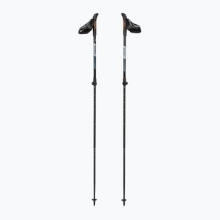 Nordic-Walking-Stöcke Fizan R-Evolution beige