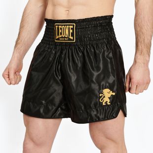 Boxershorts Herren LEONE 1947 Basic 2 black