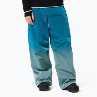Herren Snowboardhose Oakley Channel Grade Cargo new balsam