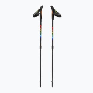 Fizan Speed JR Regenbogen Kinder Nordic Walking Stöcke