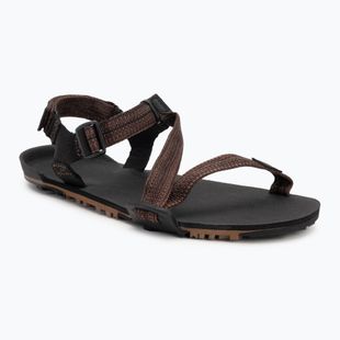 Herren Barfußsandalen Xero Schuhe Z-Trail EV multi / braun