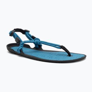 Herren Barfußsandalen Xero Schuhe Aqua Cloud blau/saphir