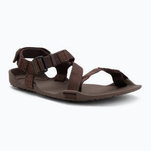 Herren Barfußsandalen Xero Schuhe Z-Trek braun