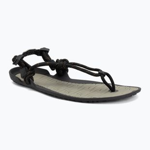 Barfußsandalen Herren Xero Shoes Aqua Cloud vetiver/green