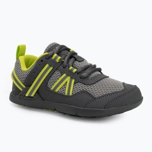 Xero Shoes Barfuß Kinderschuhe Prio grau/ lime