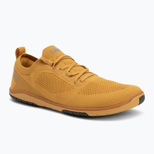 Damen Barfußschuhe Xero Shoes Nexus Knit gold
