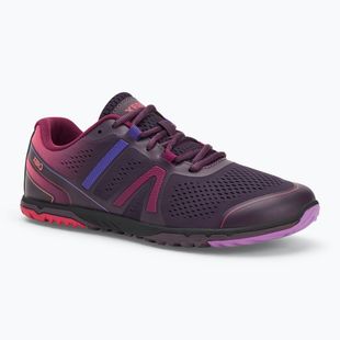 Barfußschuhe Damen Xero Shoes HFS II gradient purple
