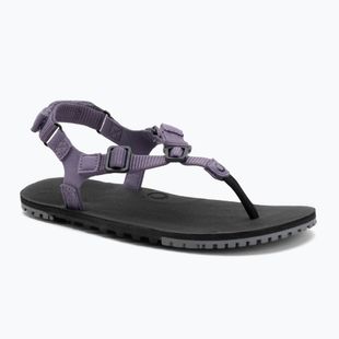 Damen Barfußsandalen Xero Shoes H-Trail Salbei lila