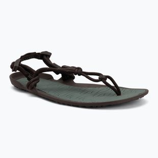 Barfußsandalen Herren Xero Shoes Aqua Cloud java/brown/dark/forest