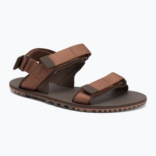 Herren Barfußsandalen Xero Schuhe D-Trail kakaobraun/javabraun
