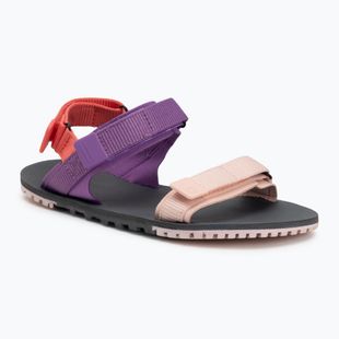 Damen Barfußsandalen Xero Schuhe D-Trail devberry / multi