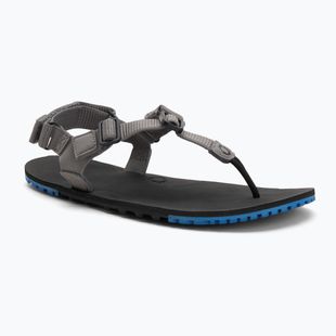 Herren Barfußsandalen Xero Schuhe H-Trail stahlgrau/blau/lolite