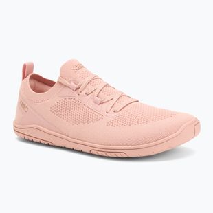 Damen Barfußschuhe Xero Shoes Nexus Knit