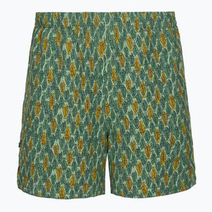Trekkinghose Herren Herren Royal Robbins All-In algae flash pt