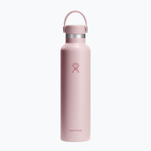 Thermosflasche Hydro Flask Standard Flex Cap 710 ml trillium