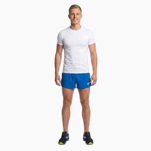 Joma Record II Herren Laufshorts royal