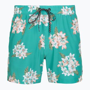 Herren-Badeshorts Hurley Malaga Volley Swim Short Teal Tint