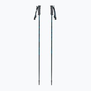 Skistöcke Fischer RC4 Noize grey / blue