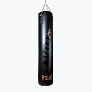 Trainingssack Everlast Boxer TITAN black