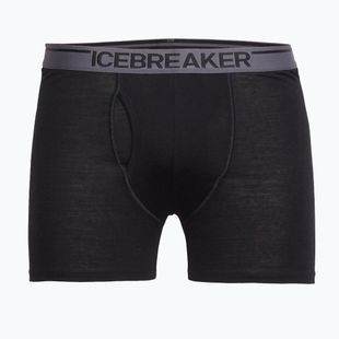 Herren Thermo-Boxershorts Icebreaker Anatomica wFly black
