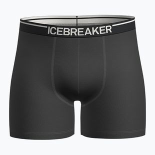 Thermoaktive Boxershorts Herren icebreaker Anatomica plume jet heather