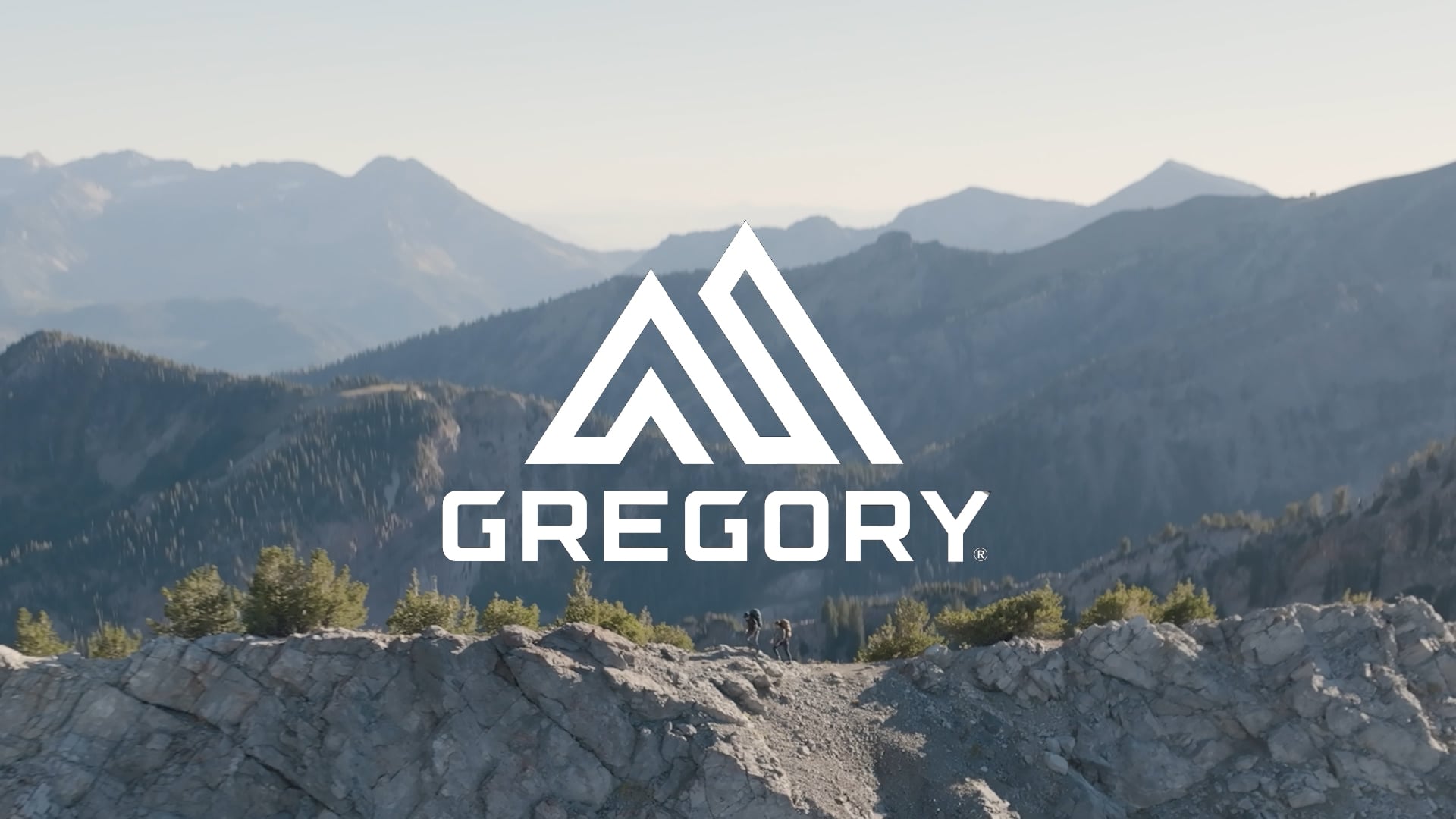 Trekking Rucksack Gregory Paaragon 40 l RC cascade green
