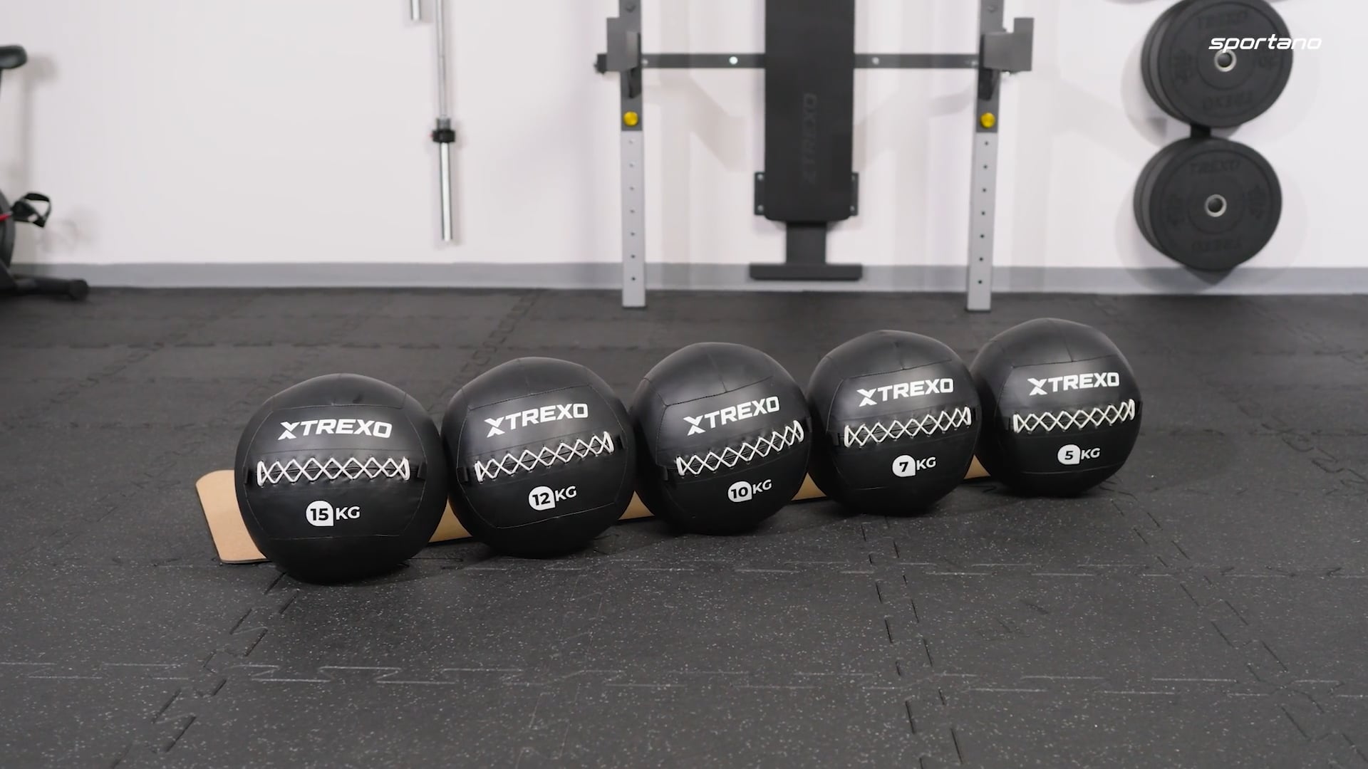 TREXO Wall Ball 5 kg schwarz