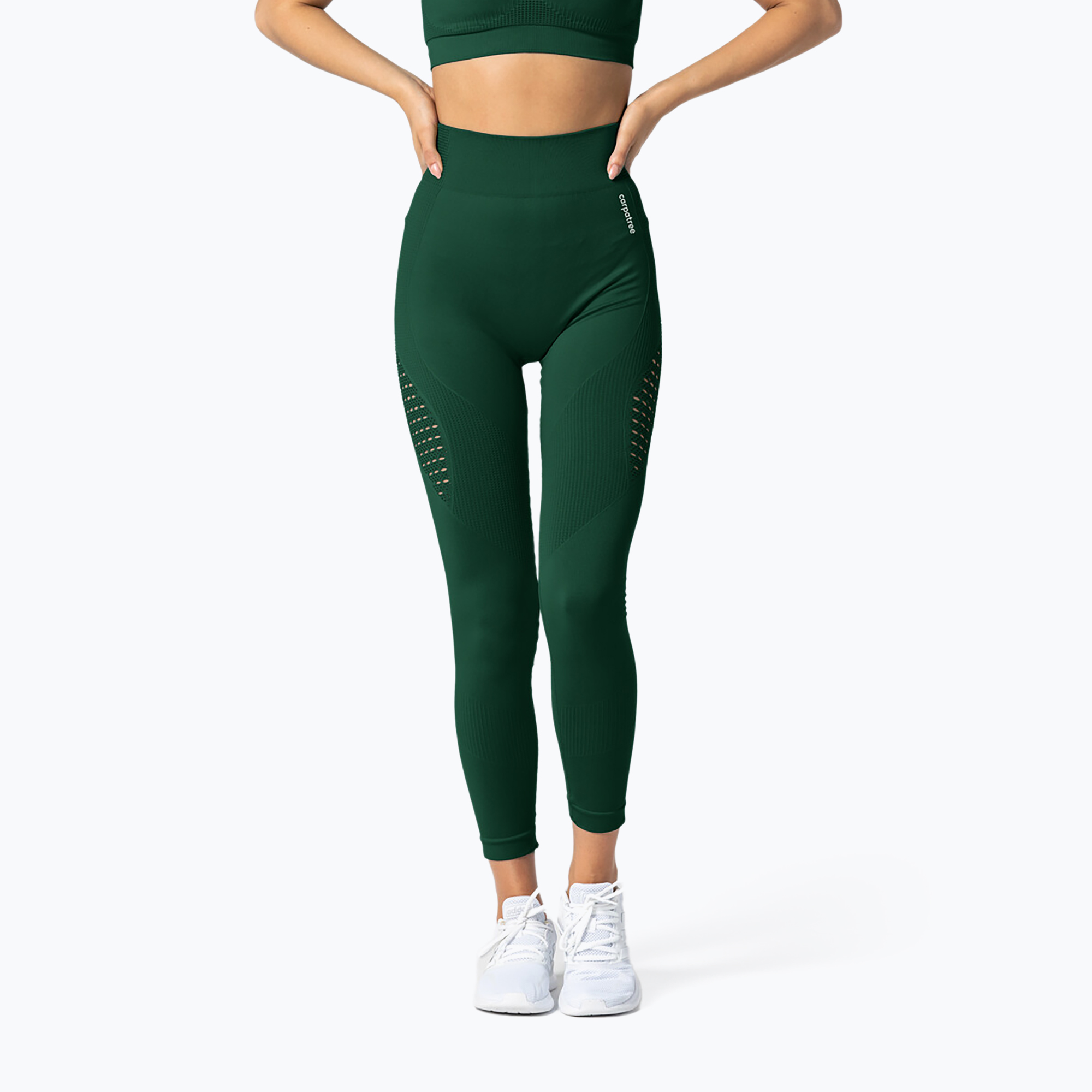 Carpatree Phase Nahtlose Leggings für Frauen Grün CP-PSL-BG (Phase Seamless CP-PSL-BG)