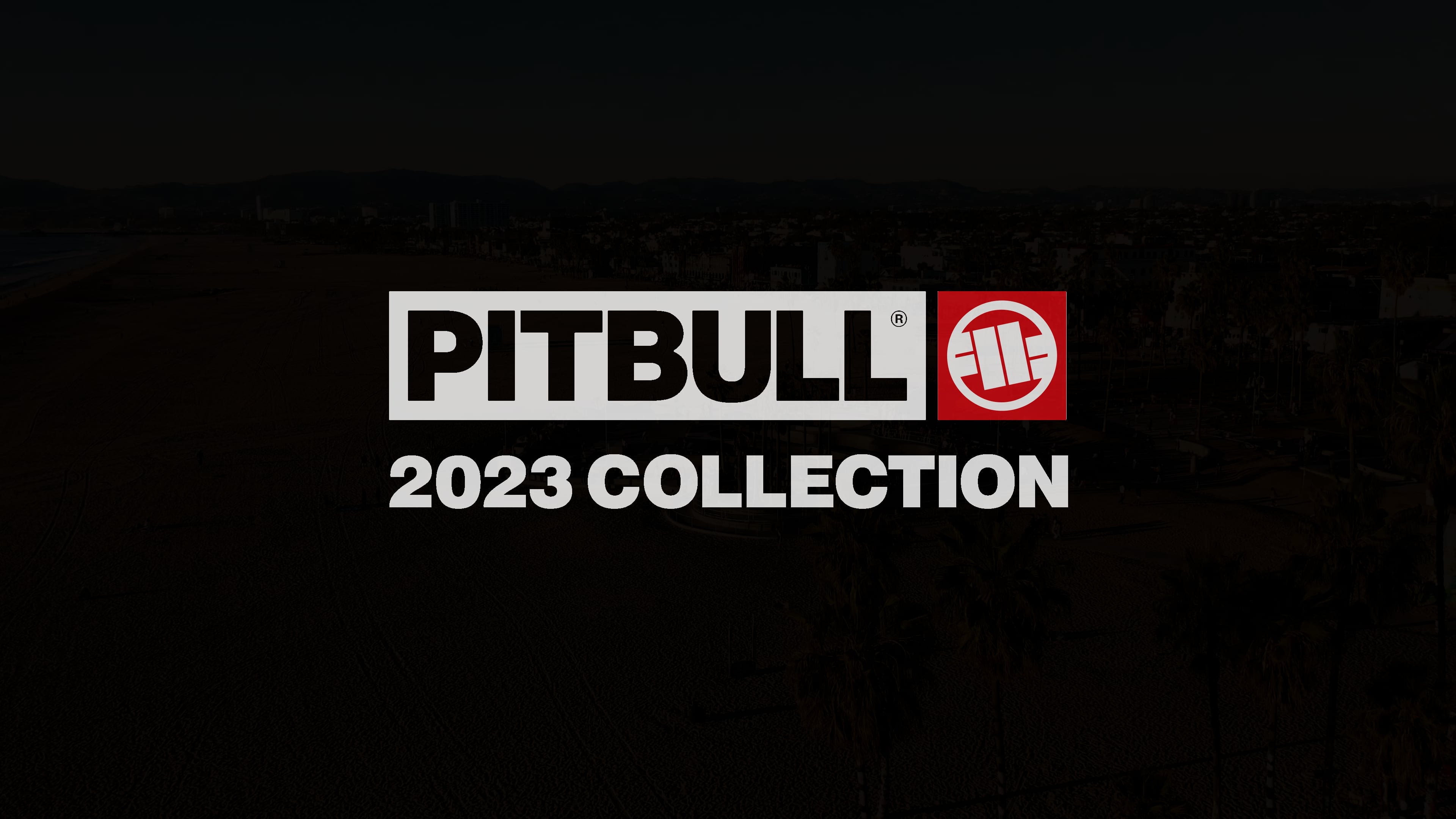 Herren-T-Shirt Pitbull West Coast T-S Hilltop 170 mint