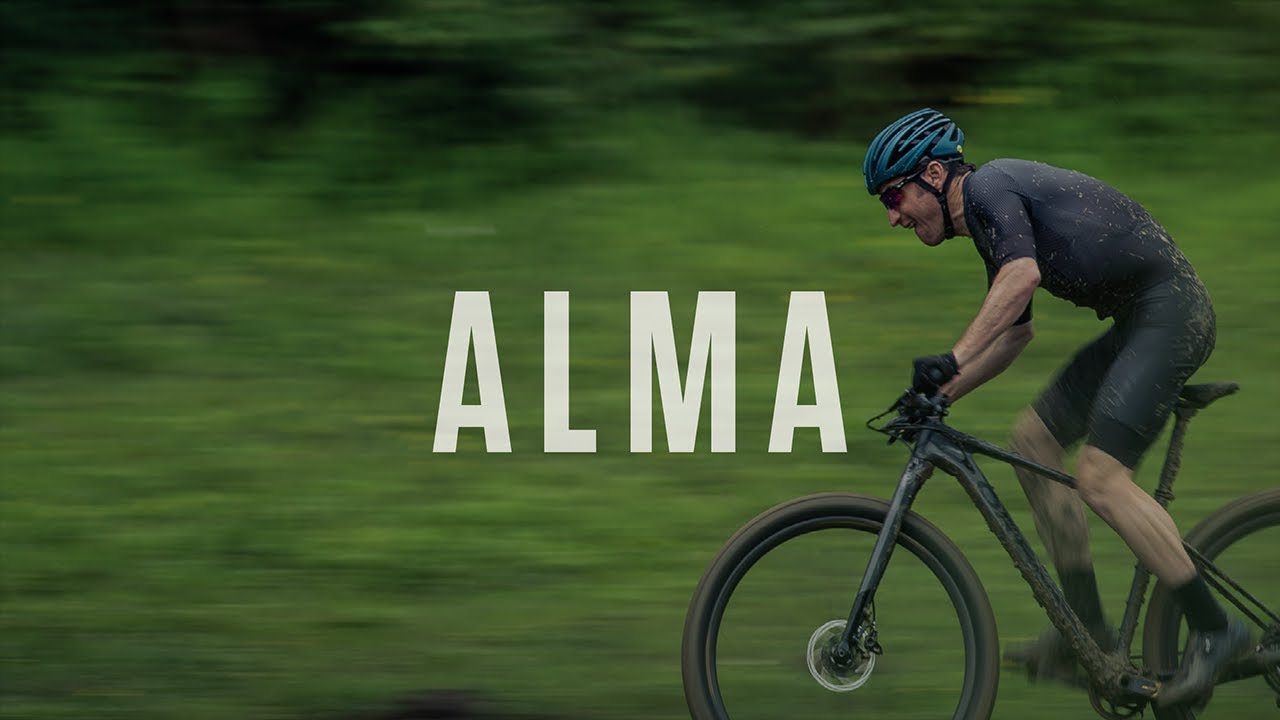 Orbea Alma H50 Mountainbike schwarz