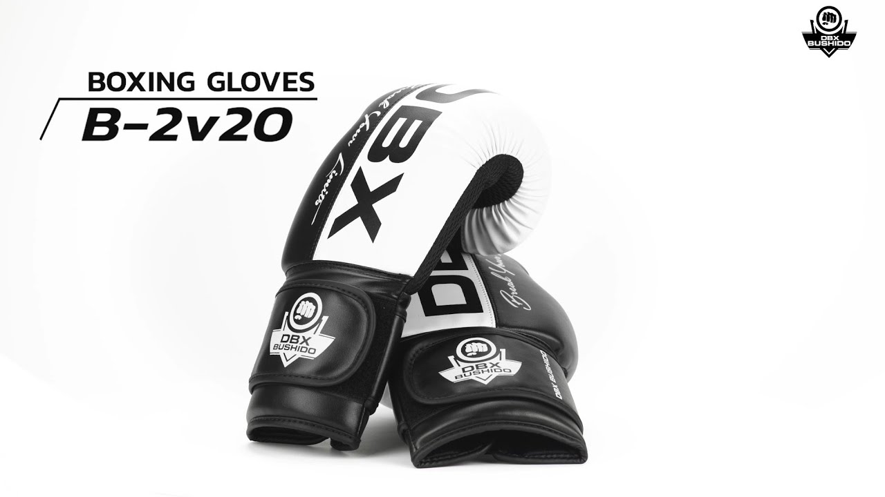 DBX BUSHIDO B-2V20 Active Clima Sparring Handschuhe