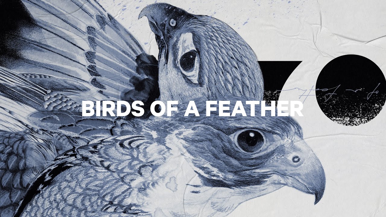 Damen Snowboard CAPiTA Birds Of A Feather 1221108
