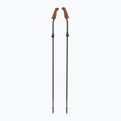 Fizan Walx Pro Nordic Walking Stöcke