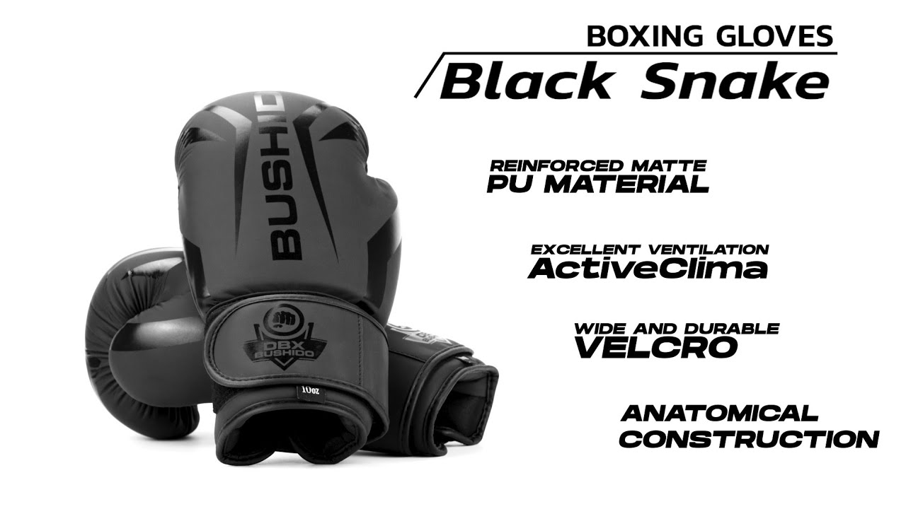 DBX BUSHIDO 'Raptor' Boxhandschuhe schwarz